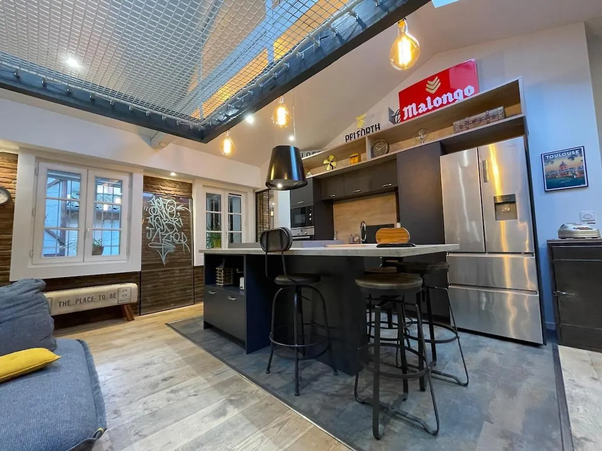 Apartmán L Atelier Toulousain Toulouse